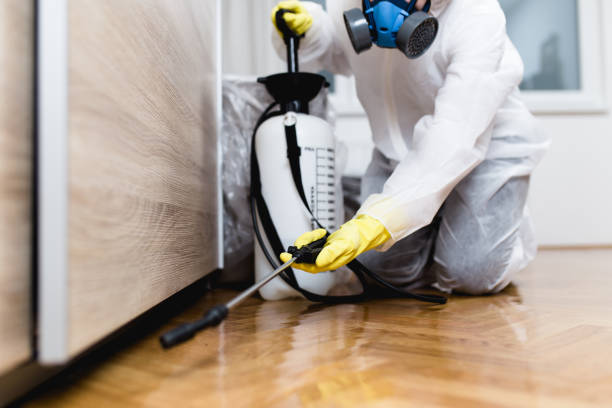 Best Rat Extermination Near Me  in New London, WI