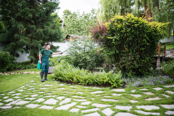 Best Wasp Removal Services  in New London, WI