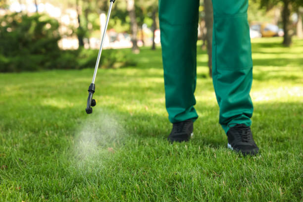 Best Affordable Pest Control Services  in New London, WI