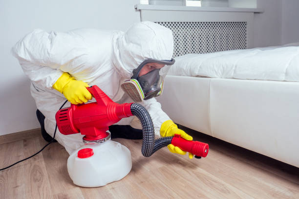 Pest Prevention Services in New London, WI