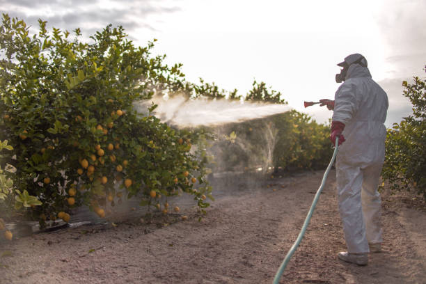 Best Pest Control for Businesses  in New London, WI