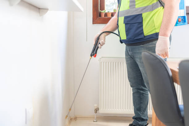 Best Pest Removal Services  in New London, WI
