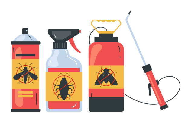 Best Spider Control Near Me  in New London, WI