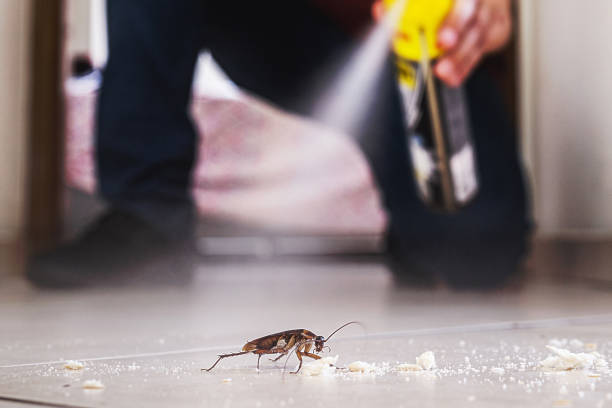 Best Mosquito Control Services  in New London, WI