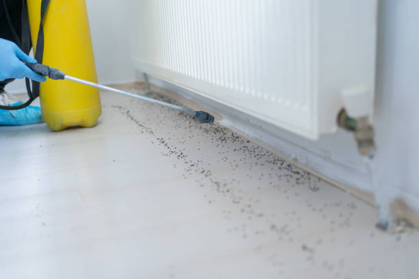 New London, WI Pest Control Company
