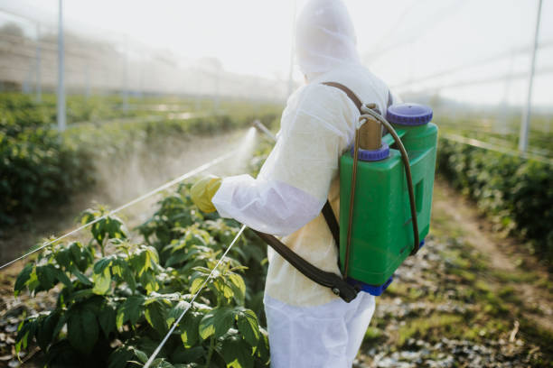 Pest Control Cost in New London, WI